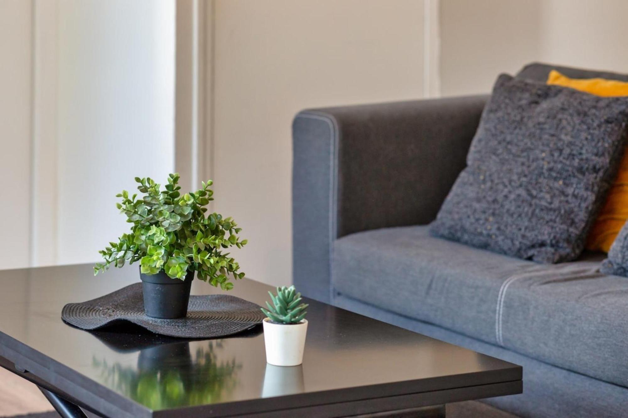 Le Golden Black Votre F2 Au Coeur De Apartment